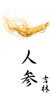 人參